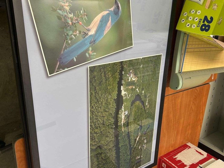 miscellaneous-framed-pictures-and-cork-boards-image-7