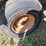 badger-tandem-axle-silage-wagon-image-44