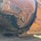 caterpillar-d8-image-108