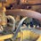 caterpillar-d6-image-36