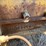 caterpillar-d6-image-55