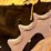 caterpillar-d4-image-47
