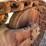 caterpillar-d8-image-104