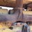 caterpillar-d6-image-114