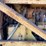 caterpillar-d4-image-41