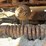 caterpillar-d2-image-43