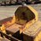 caterpillar-d2-image-51