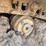 caterpillar-d4-image-22
