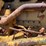 caterpillar-d8-image-49