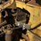caterpillar-d9-image-88