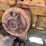 caterpillar-d4-image-27