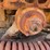 caterpillar-d4-image-32
