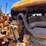 caterpillar-d6-image-48