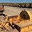 caterpillar-d2-image-50