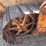 caterpillar-d2-image-31