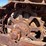 caterpillar-d4-image-21