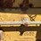 caterpillar-d6-image-117