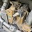 2021-caterpillar-259d3-image-18