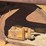 caterpillar-d4-image-34
