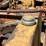 caterpillar-d8-image-28