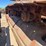 caterpillar-d8-image-81
