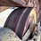 caterpillar-d9-image-35