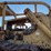 caterpillar-d9g-image-12