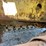 caterpillar-d8-image-113