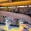 caterpillar-d8-image-39