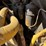 caterpillar-d9g-image-53