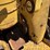 caterpillar-d6-image-29