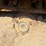 caterpillar-d4-image-33