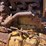 caterpillar-d8-image-71