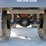 2006-case-ih-4300-image-55