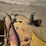 caterpillar-d4-image-49