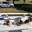 1999-trinity-tank-image-25