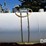 1999-trinity-tank-image-24
