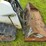 2022-bobcat-t66-image-9