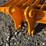 caterpillar-305-image-4