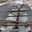 1974-timpte-40ft-image-21