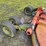 bush-hog-3210-image-7