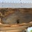 2010-timpte-super-hopper-image-19