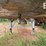 dorsey-aidt-image-5