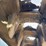2018-bobcat-t550-image-12