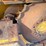 2019-deere-650k-lgp-image-7