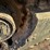 2017-wacker-neuson-st45-image-11