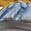 2008-caterpillar-904b-image-14