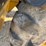 caterpillar-th83-image-9