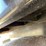 #4303-•-2023-mmlj-db500-mxl-dustless-blasting-trailer-(no-title)-image-20