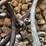 (2)-pto-tire-pumps-image-6